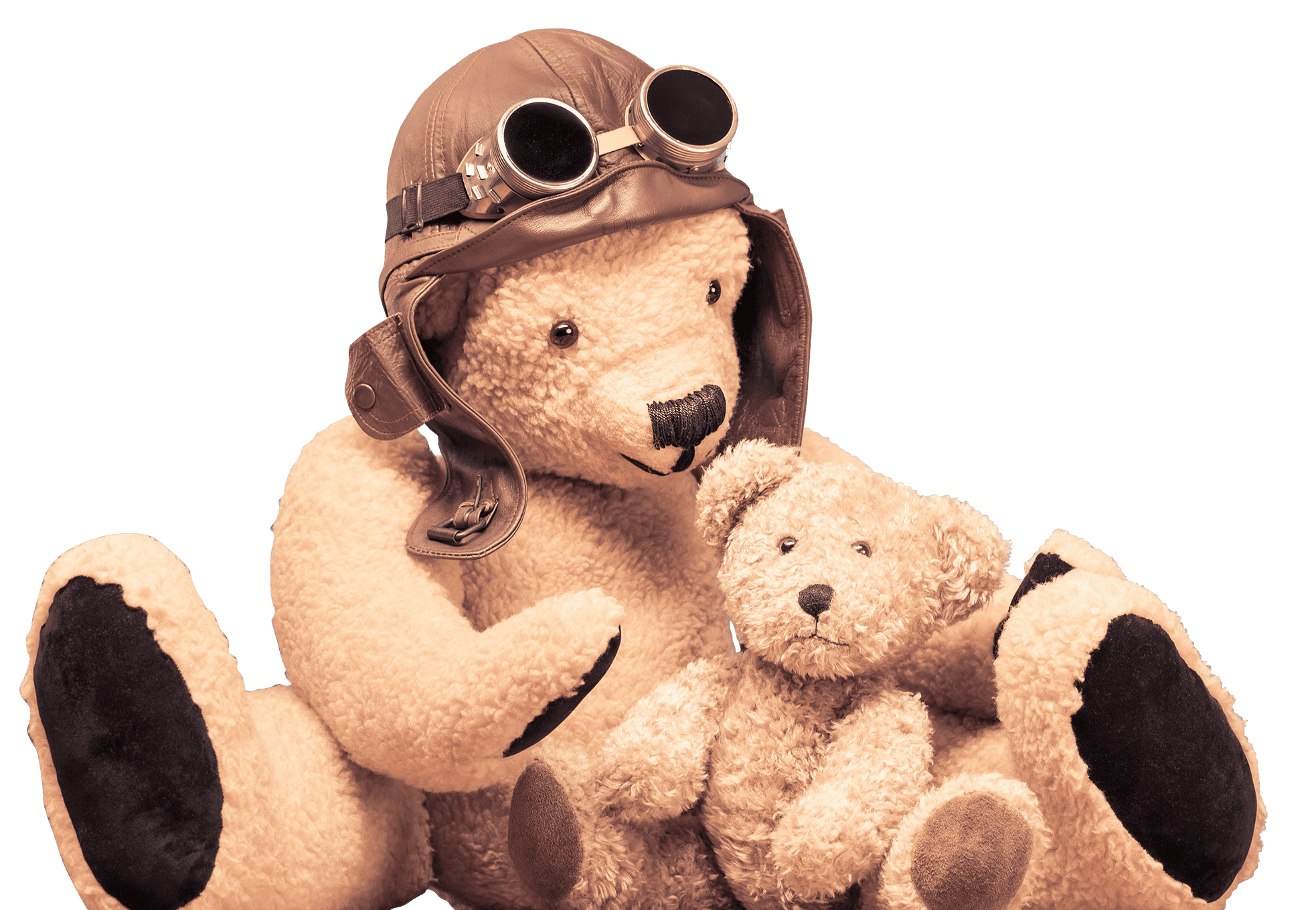 Stuffed bear and baby bear